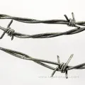 Excellent Galvanized Razor Barbed Wire